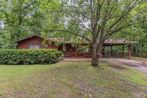 168 Wayne 357A, Piedmont, MO 63957