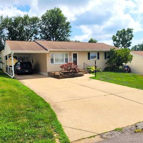 11128 Pine Forest Drive, Saint Louis, MO 63126