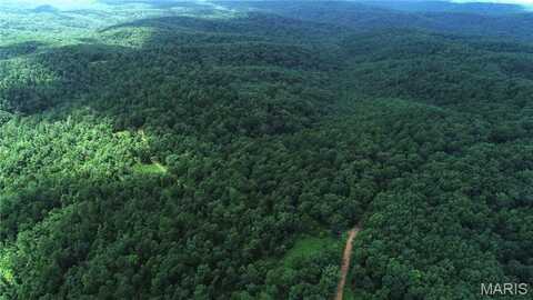 000 Bidwell Creek Rd., Womack, MO 63645