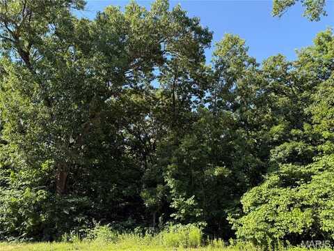 10 Big Tom Court, Hawk Point, MO 63349
