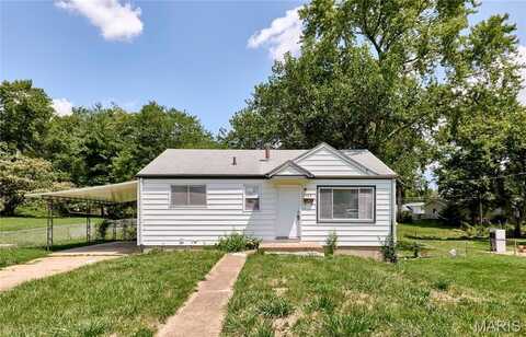 8503 Betty Lee Avenue, Saint Louis, MO 63114