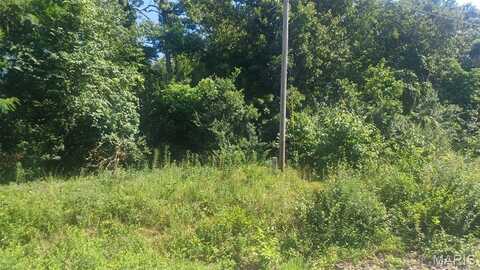 Lot 60 Cheyenne Lane, Perryville, MO 63775