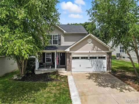 6217 Twin Springs Boulevard, Cedar Hill, MO 63016