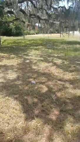 4806 7 St, Sebring, FL 33870