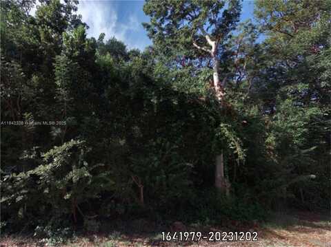 00 Poinsetta, Other City - In The State Of Florida, FL 33037