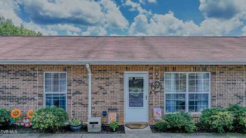 337 Montgomery Avenue, Church Hill, TN 37642