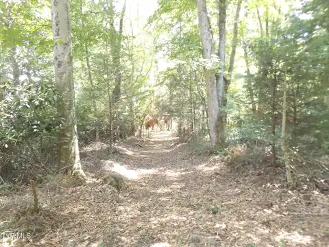 119 Gunsmoke Hollow Drive, Elizabethton, TN 37643