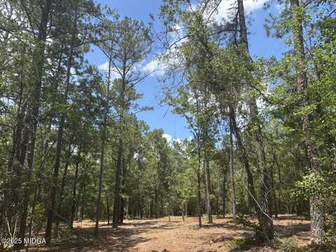 0 Salix Ln, Macon, GA 31216