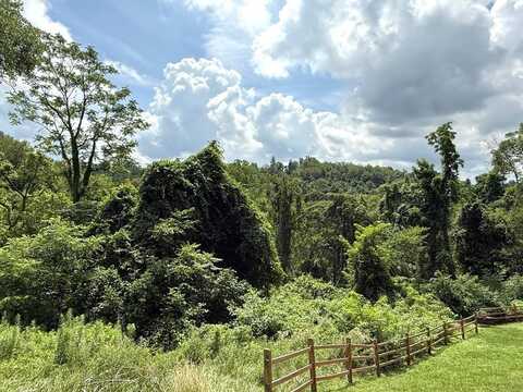 TBD Mozart Rd, Wheeling, WV 26003