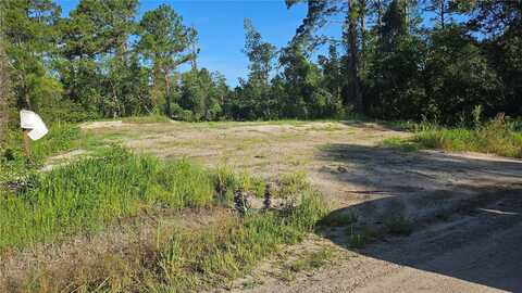 1224 10TH AVENUE, DELAND, FL 32724