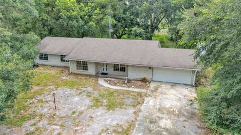 19701 LIVINGSTON AVENUE, LUTZ, FL 33559