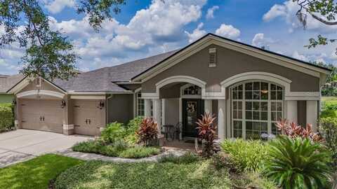 16224 BRIDGEPARK DRIVE, LITHIA, FL 33547