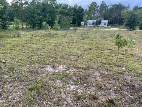 NE 135TH COURT, WILLISTON, FL 32696