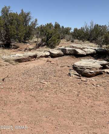 8580 Lawson Lane, Snowflake, AZ 85937