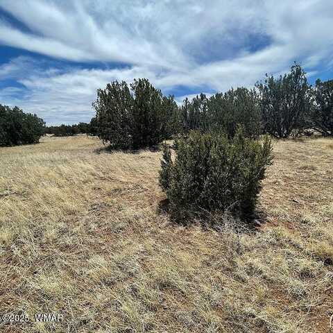 29 County Road 8069, Concho, AZ 85924