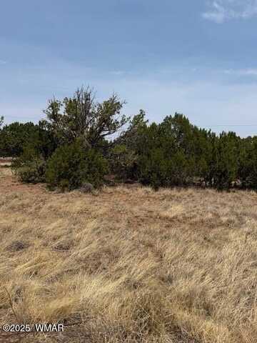 8700 Silver Creek Drive, Show Low, AZ 85901