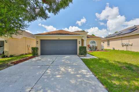 1007 GRAND CANYON DRIVE, VALRICO, FL 33594