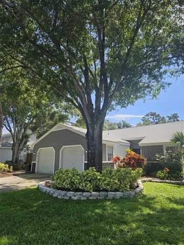 339 PETREA DRIVE, PALM HARBOR, FL 34684