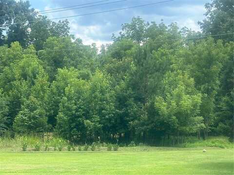 E Madison Street, York, SC 29745