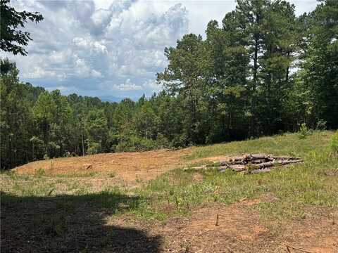 384 Cliffs S Parkway, Salem, SC 29676