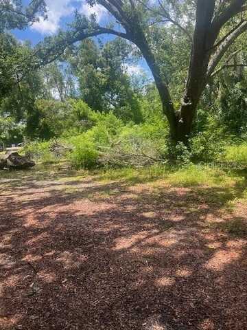 19701 LIVINGSTON AVENUE, LUTZ, FL 33559