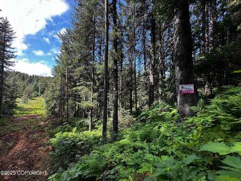 L8 B12 Malcolm Street, Seldovia, AK 99663
