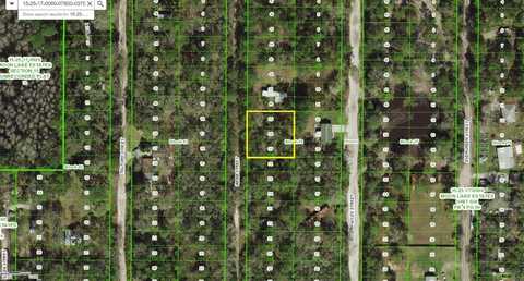 WEBB, NEW PORT RICHEY, FL 34654