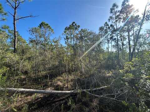 7041 SWEDEN BOULEVARD, PUNTA GORDA, FL 33982