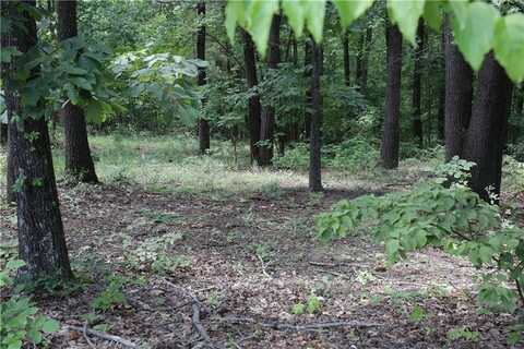 Lot 34, Block 3 Runnymede LN, Bella Vista, AR 72715