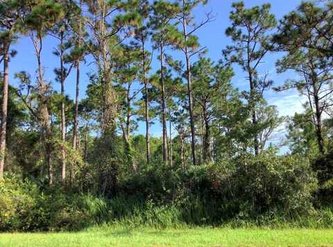 QUINELLA STREET, ORLANDO, FL 32833