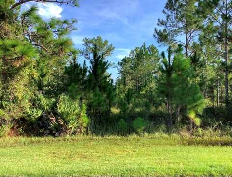 SABAL STREET, ORLANDO, FL 32833