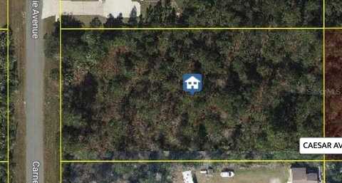 CARNEGIE AVENUE, ORLANDO, FL 32833