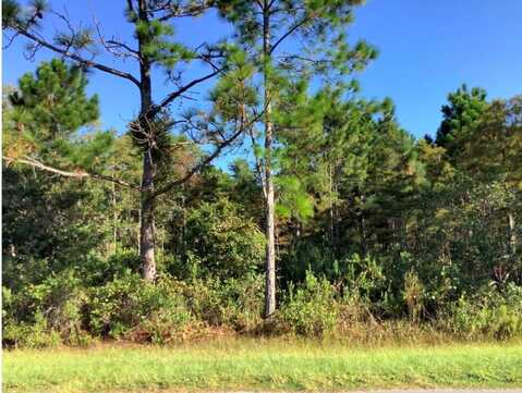 RALSTON STREET, ORLANDO, FL 32833