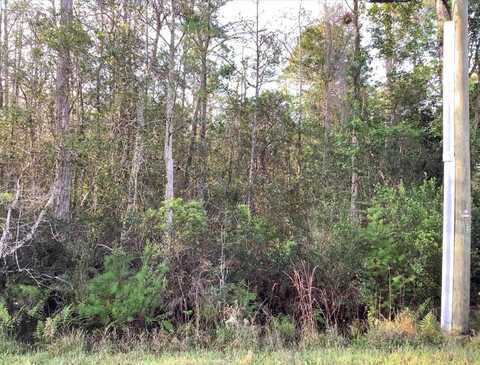 20828 QUINLAN STREET, ORLANDO, FL 32833
