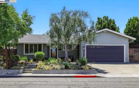 3676 Vineyard Ave, Pleasanton, CA 94566