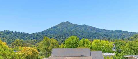 15 Stetson Avenue, Kentfield, CA 94904