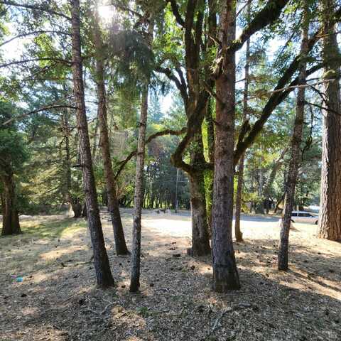 25331 Sherwood Road, Willits, CA 95490