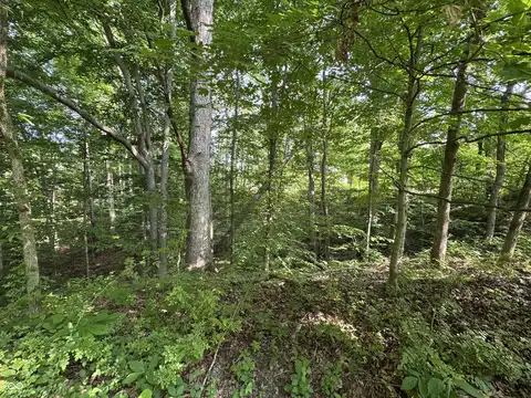 222 Pea Ridge Road, Spencer, IN 47460