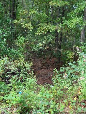 Tbd Tina Manker Road, Ridgeland, SC 29936