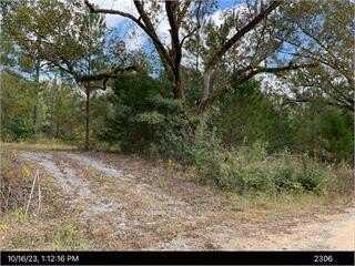 1300 Johns Golden, McIntyre, GA 31054