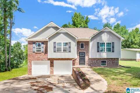 815 SKYLINE DRIVE, WARRIOR, AL 35180