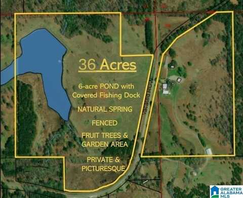 36 acres COUNTY ROAD 120, ROCKFORD, AL 35136