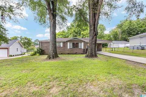 299 PLEASANT ROAD, MOUNT OLIVE, AL 35117