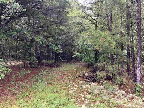 undefined, Pencil Bluff, AR 71965