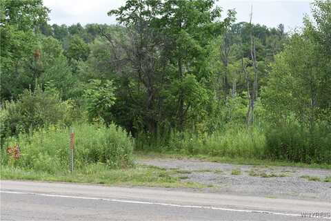 10568 Rt-16, Yorkshire, NY 14030