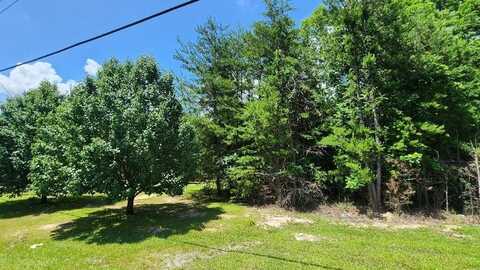 Lots 2/4 Sr 108, Gruetli Laager, TN 37339