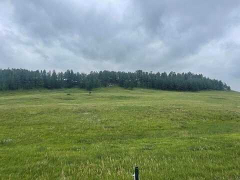 TBD Murphy Rd, Hermosa, SD 57744