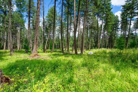 161 Rosewood lot: 10, Whitefish, MT 59937