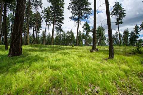 182 Rosewood Lane lot: 15, Whitefish, MT 59937