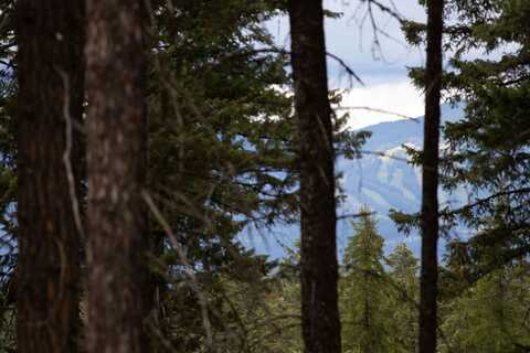 149 Rosewood Lane lot: 8, Whitefish, MT 59937